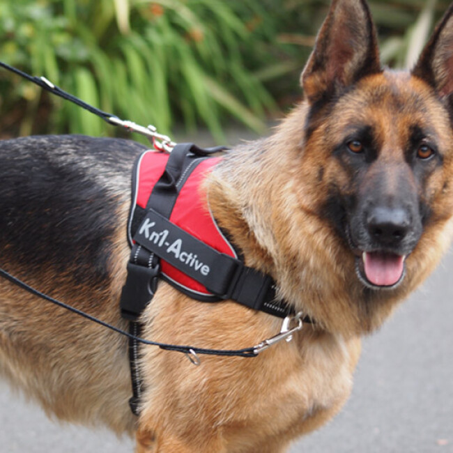 Pendentif Chien LED Harnais Chien r/éfl/échissant r/églable sans Traction Harnais dext/érieur Harnais de Dressage pour Animal Harnais Veste Classiques Convient aux Chiens de Taille Moyenne et Grande