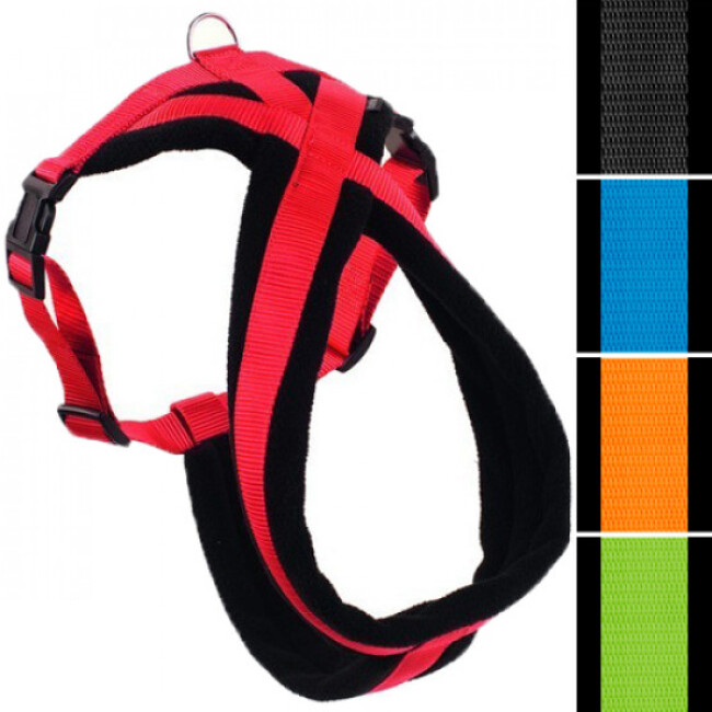 cani rando harnais