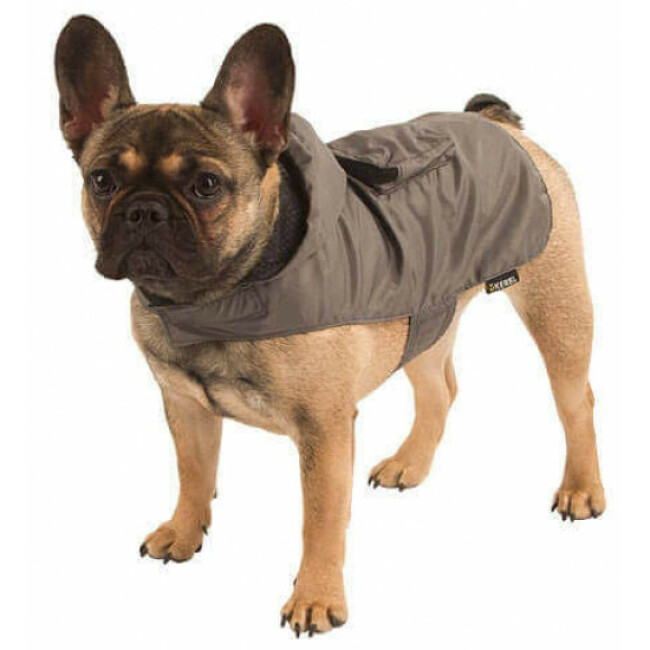 impermeable chien