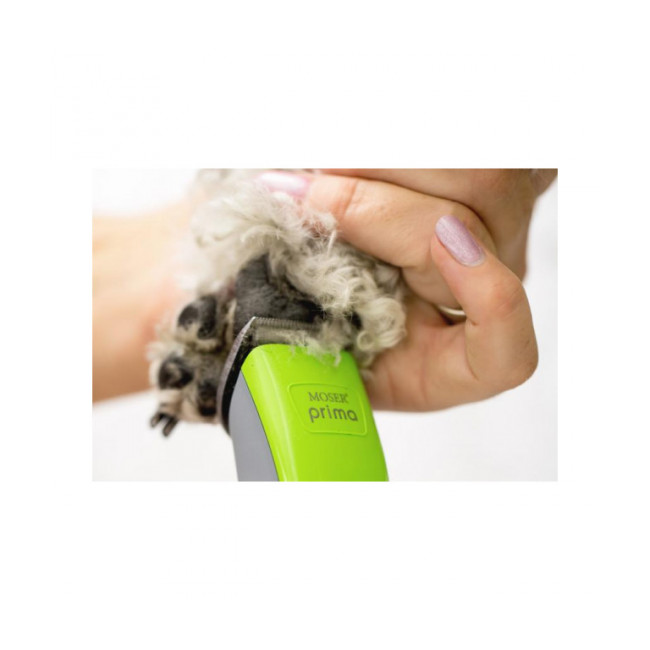 Wahl Arco Toilette de Chien Pinces Noir sans Fil Animal Tondeuse