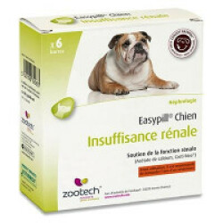 Conseil Vétérinaire - Blog - L'insuffisance Rénale Chez Le Chat